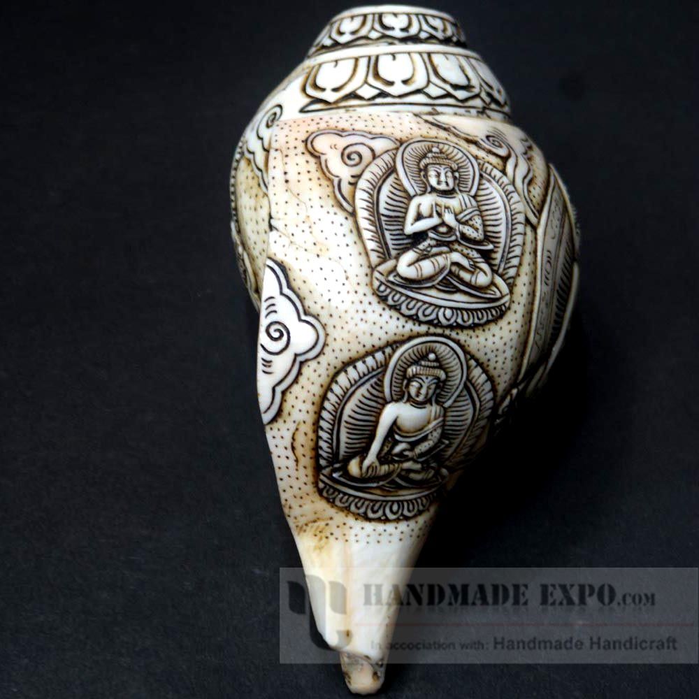 Dhyani Buddha Carved Conch Shell