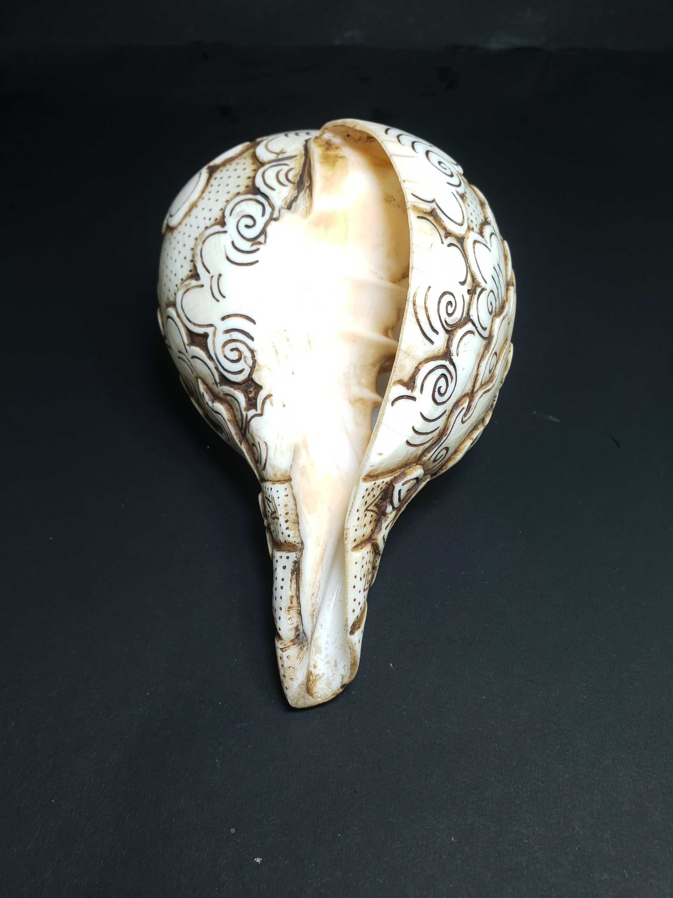 Tibetan Conch Shell With White Mahakala hand Carved