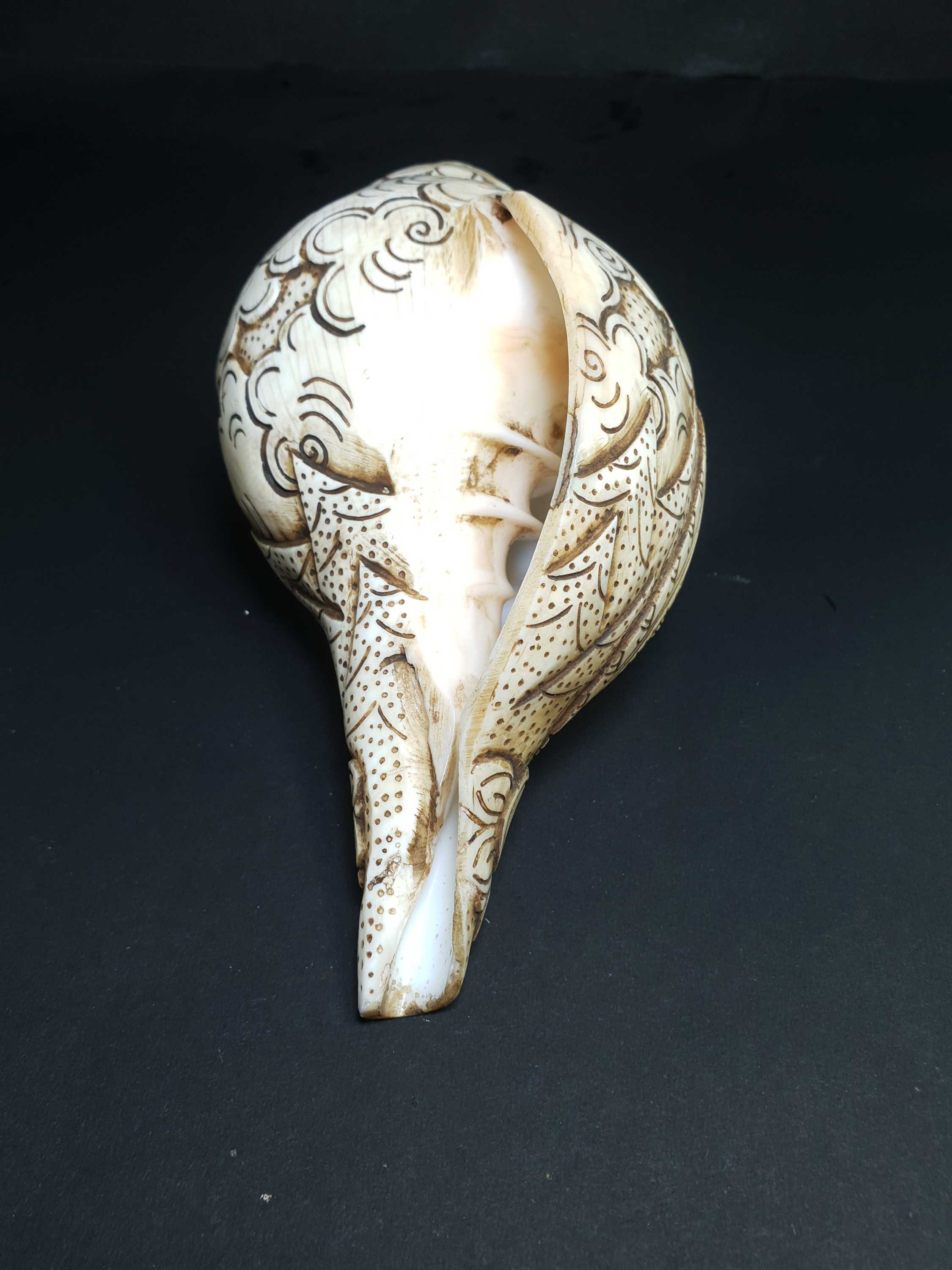 Tibetan Conch Shell With 12 Arm Ganesh hand Carved