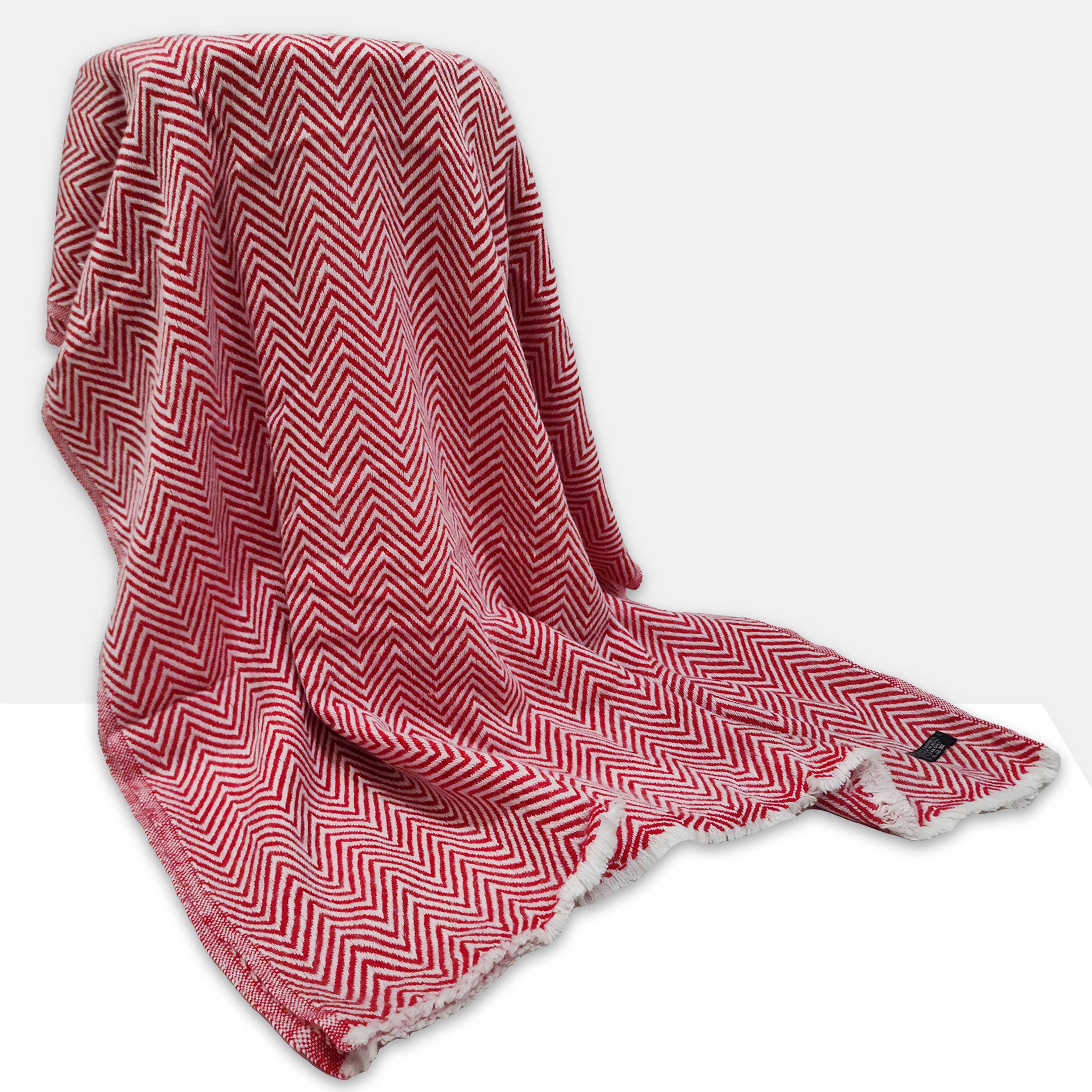 Pashmina Shawl-29356