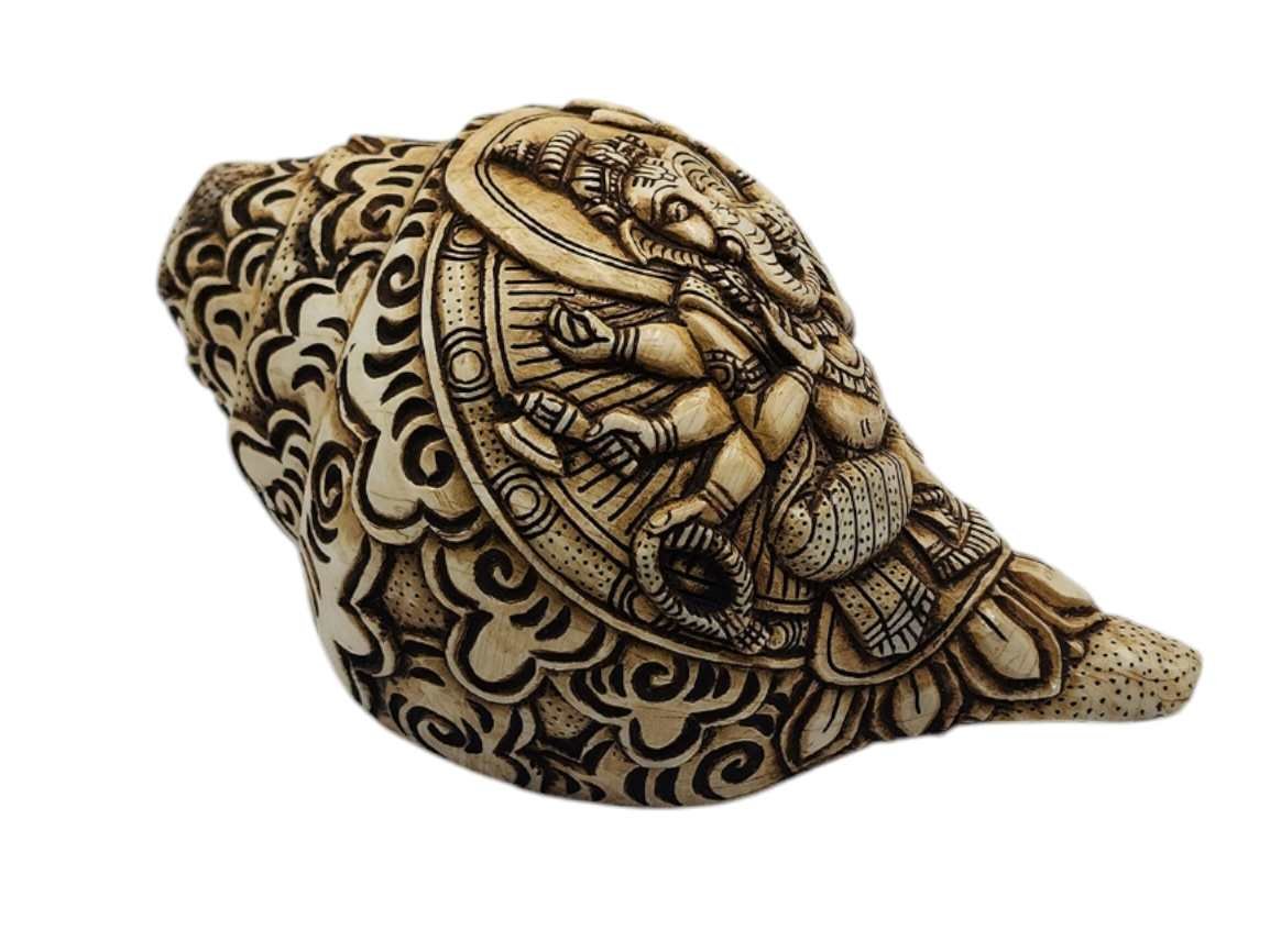 Conch Shell 仏像彫刻の貝殻 わずらわしい 約15cm 螺貝 