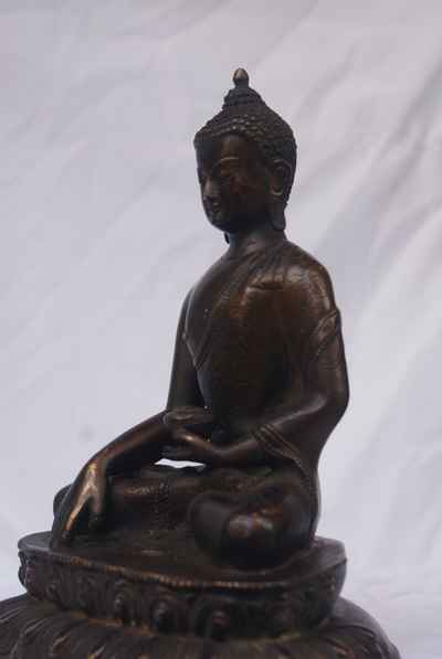thumb1-Shakyamuni Buddha-10155