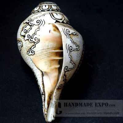 thumb1-Conch shell-10844