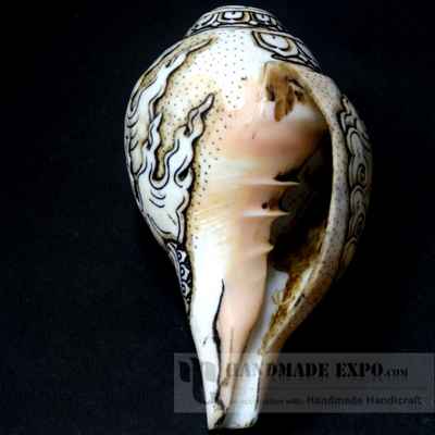 thumb1-Conch shell-10845
