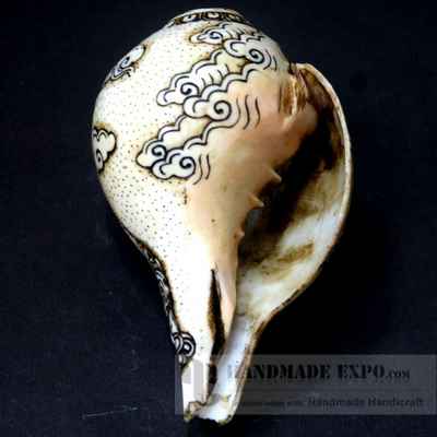 thumb2-Conch shell-10848