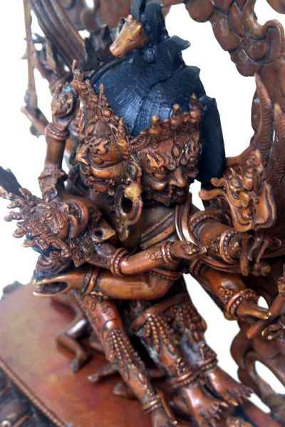 thumb6-Hayagriva-11182