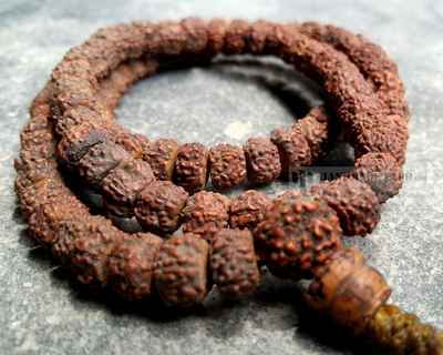 8mm Rudraksha Top Cut 108 Prayer Beads Mala