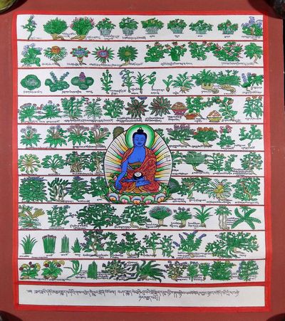 Medical Thangka-12842