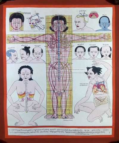 Medical Thangka-12846