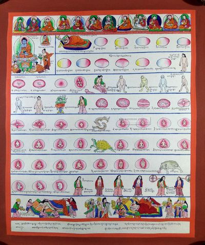 Medical Thangka-12848