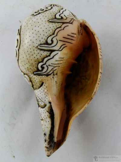 12 Garms Ganesh [hand Carved], Conch Shell