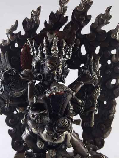 thumb1-Hayagriva-13359