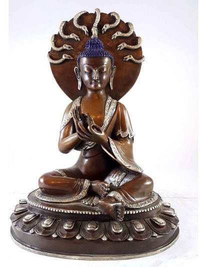 Nagarjuna Buddha-14944