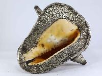 thumb5-Conch shell-15331