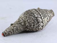 thumb1-Conch shell-15332