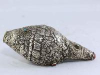 thumb3-Conch shell-15332