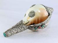 thumb3-Conch shell-15334