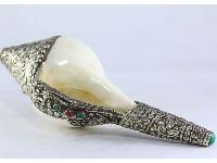 thumb2-Conch shell-15335
