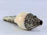 thumb2-Conch shell-15337