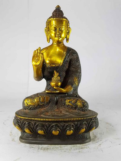 Amoghasiddhi Buddha-15641