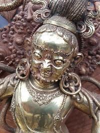 thumb4-Bagh Bhairav-15667