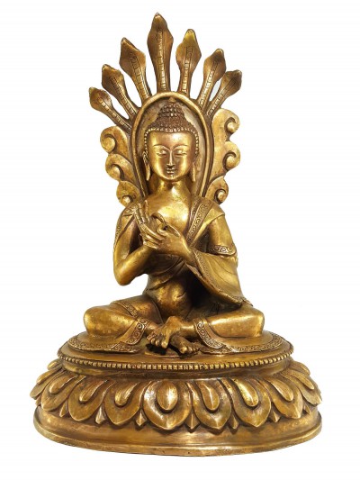 Nagarjuna Buddha-15859