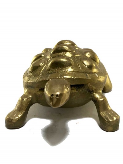Turtle-16292