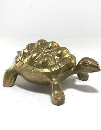 thumb1-Turtle-16292