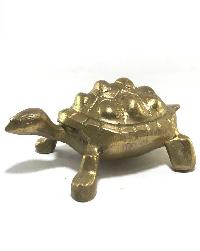 thumb2-Turtle-16292