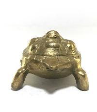 thumb3-Turtle-16292
