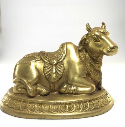 Nandi-16302