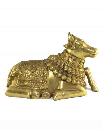 Nandi-16351