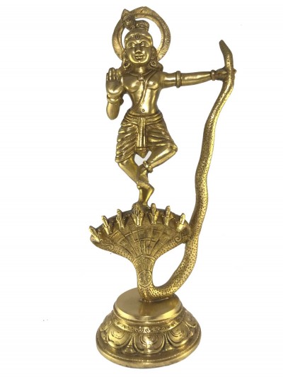 Krishna-16369