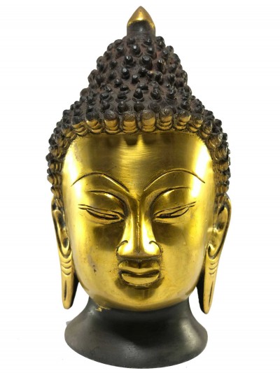 Shakyamuni Buddha-16371