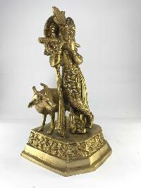 thumb1-Krishna-16376