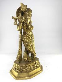 thumb1-Krishna-16377