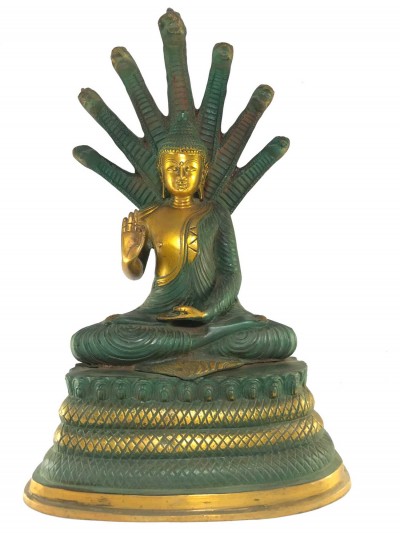Nagarjuna Buddha-16384