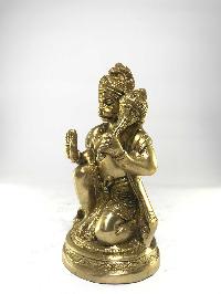 thumb2-Hanuman-16387