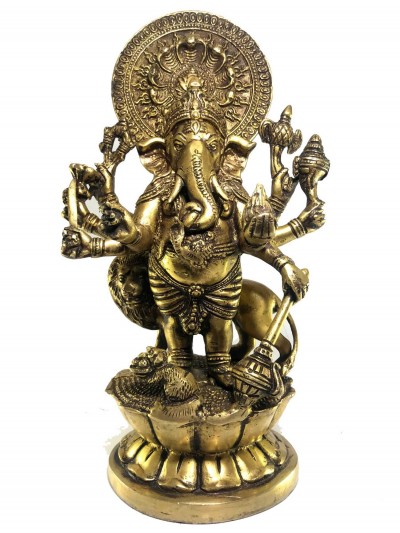 Ganesh-16873