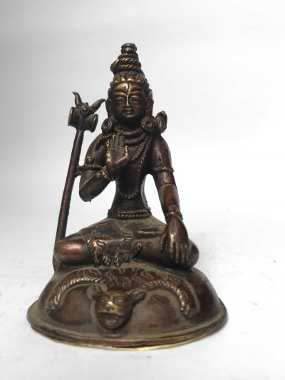 Shiva-17039