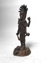 thumb2-Vishnu-17040