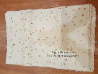 Nepali Lokta Wrapping Paper, [with Flowers Petals], V6