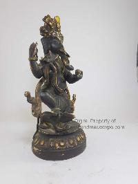 thumb2-Ganesh-18317