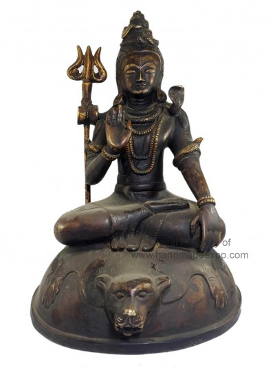 Shiva-18320