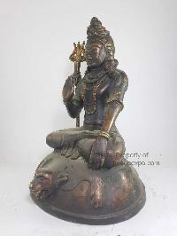 thumb1-Shiva-18320