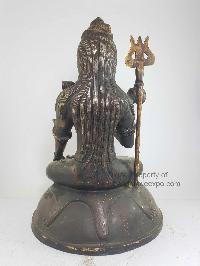 thumb2-Shiva-18320