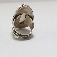 thumb2-Silver Ring-18785