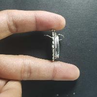 thumb1-Silver Earring-19519