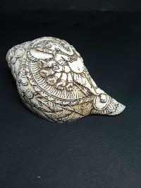 thumb2-Conch shell-21778