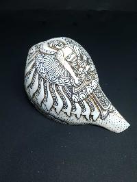 thumb1-Conch shell-21780